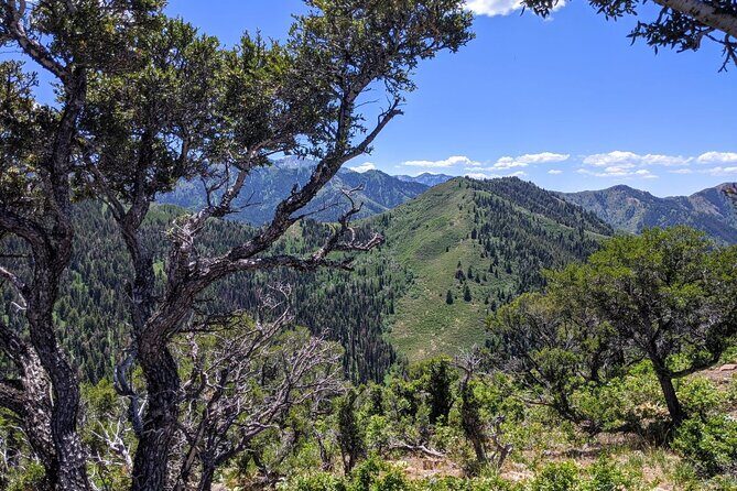 Park City Hiking Activity with Local Guide - The Sum Up