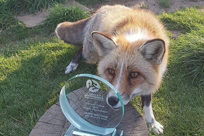 Park Entry for a Family of 4 (2 adults and 2 children) - The Real Visitor Experience: Insights and Honest Opinions