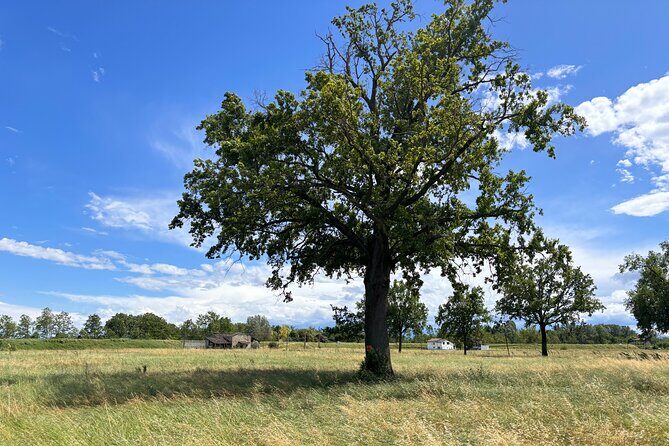 Parma Food Tour: Parmigiano & Culatello - FAQs