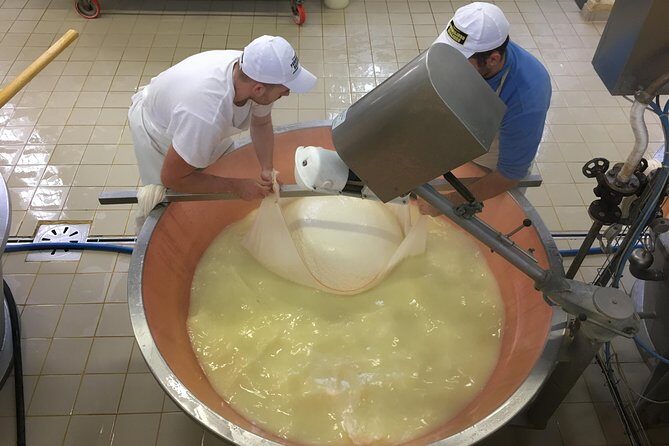 Parma Food Valley Gourmet Private Tour Easy - The Experience in Detail