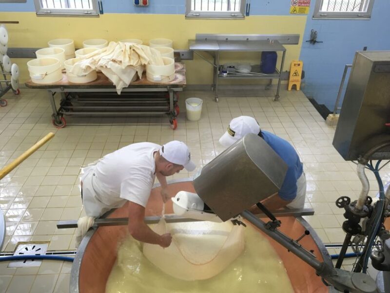 Parma: Parmigiano-Reggiano Tour and Tasting - Authenticity and Personal Touch