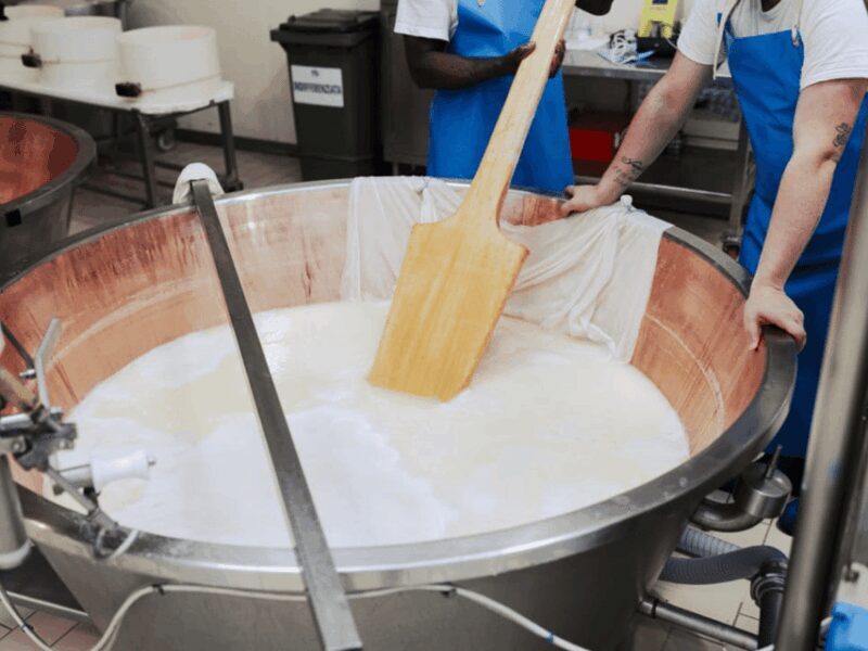 Parmesan Cheese Factory Tour & Tasting near Parma - Authentic Insights from Reviewers