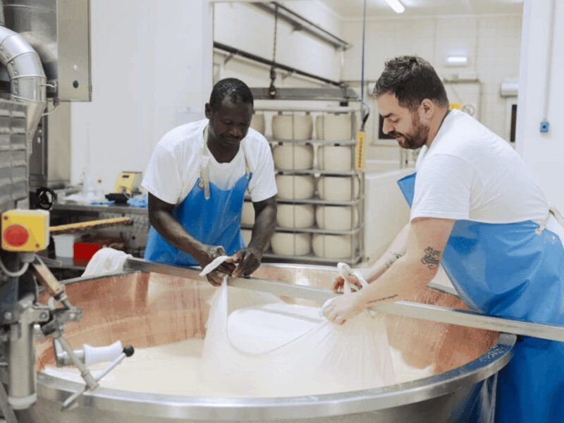 Parmesan Cheese Factory Tour & Tasting near Parma - Who Is This Tour Best For?