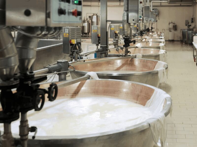 Parmesan Cheese Factory Tour & Tasting near Parma - Final Thoughts