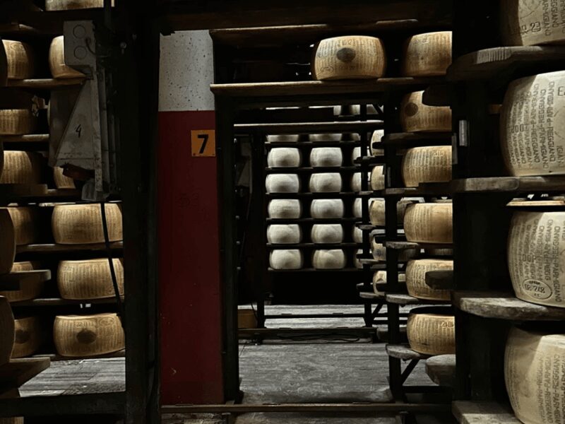 Parmesan Cheese Tour & Tasting close to Modena - Key Points