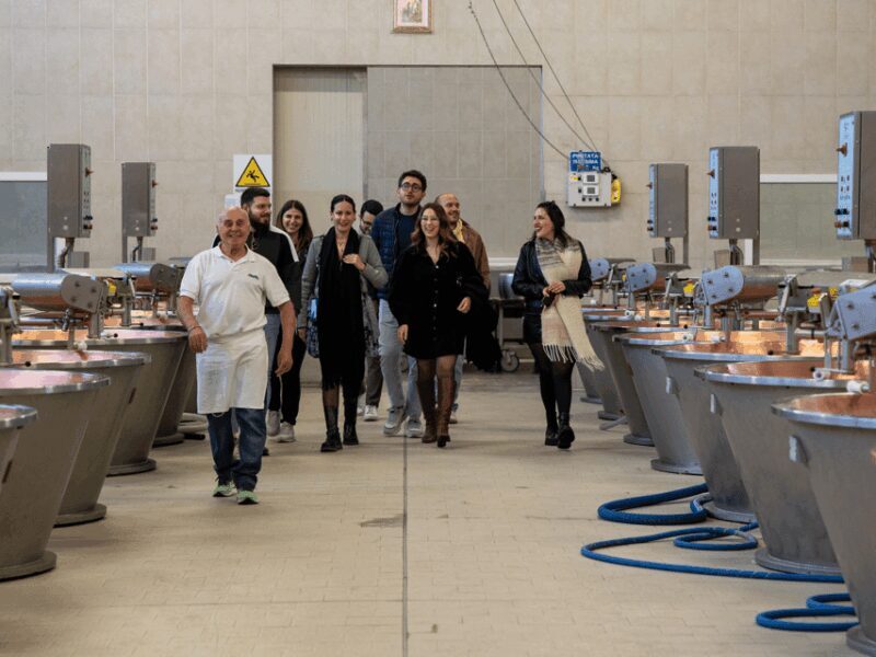 Parmesan Factory Tasting & Tour in Formigine, near Modena - Key Points
