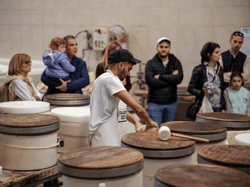 Parmesan Factory Tasting & Tour in Formigine, near Modena - A Deep Dive into the Experience