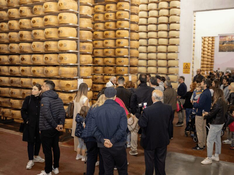 Parmesan Factory Tasting & Tour in Formigine, near Modena - Who Should Consider This Tour?