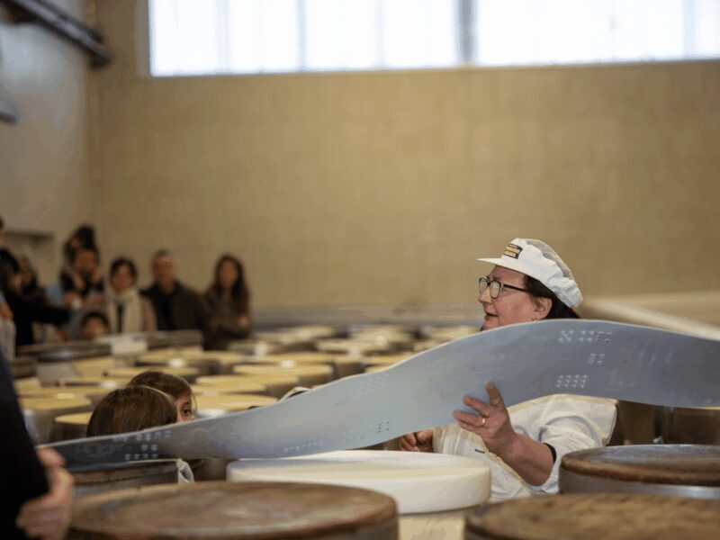Parmesan Factory Tasting & Tour in Formigine, near Modena - FAQ about the Parmesan Factory Tour