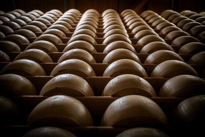 Parmigiano and Culatello Private Tour with Lunch and Farm Visit - The Full Experience: What to Expect