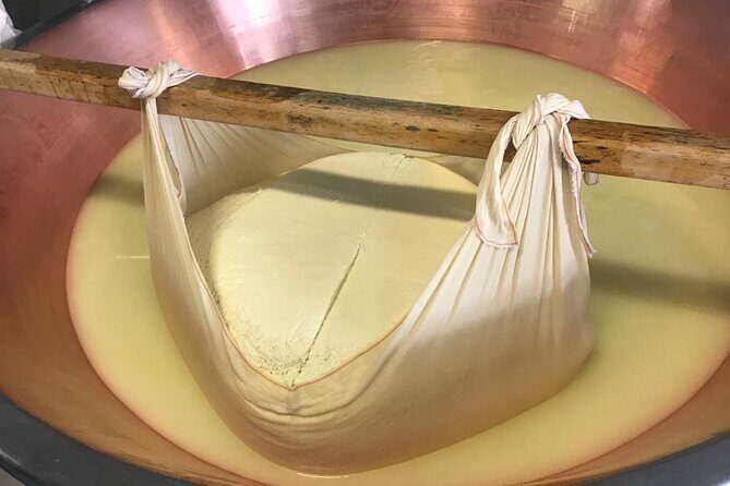 Parmigiano Cheese Factory Visit and Tasting - Overall Value and Tips