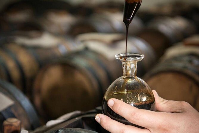 Parmigiano Reggiano & Balsamic Vinegar Private Tour and Tasting - Key Points