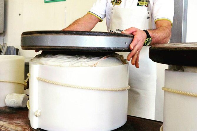 Parmigiano Reggiano & Balsamic Vinegar Private Tour and Tasting - Who Will Love This Tour?