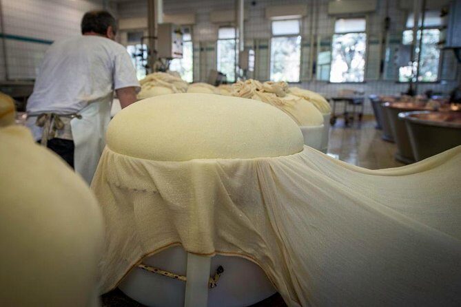 Parmigiano Reggiano Cheese Factory Tour & Tasting Experience - Who Will Love This Tour?