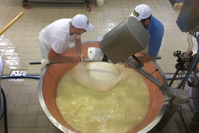 Parmigiano-Reggiano Tour and tastings - A Deep Dive into the Parmigiano-Reggiano Tour Experience