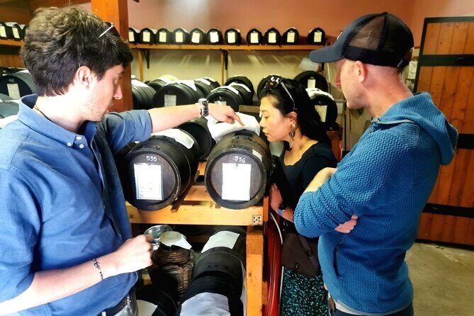 Parmigiano Wine and Balsamic Vinegar Experience from Bologna - Who Should Consider This Tour?