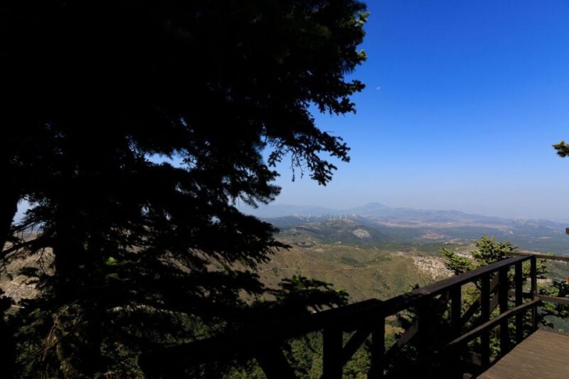 Parnitha (Parnis) / Skipiza & Mola loop - Hike near Athens - Who Will Love This Tour?