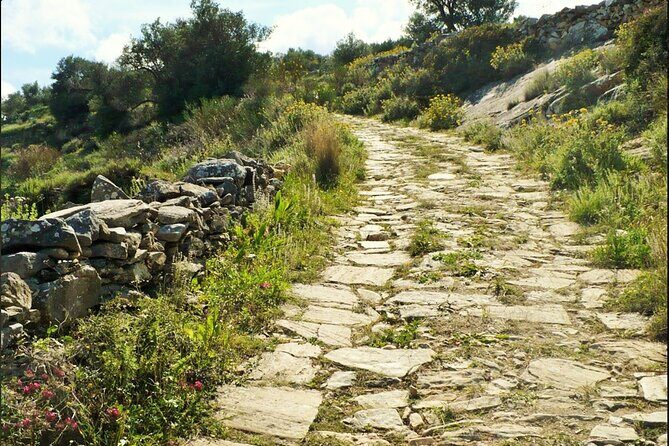 Paros Byzantine Path Ancient Greek Route Hiking Experience - A Detailed Look at the Paros Byzantine Path Hiking Experience