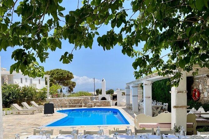 Paros: Cooking Class with Greek Meal & Wine - Atmosphere and Guides