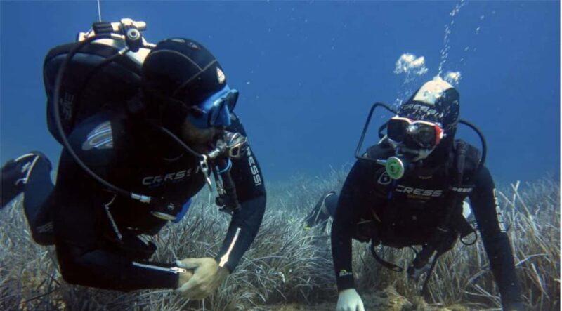 Paros: Scuba Diving Experience - Who Will Enjoy This Tour?
