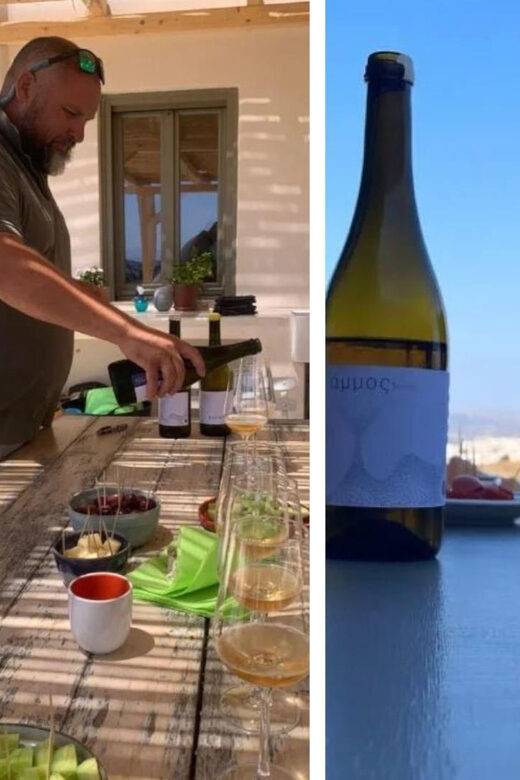 Paros: Wine tasting at Local Winery - The Vineyard Setting & Views