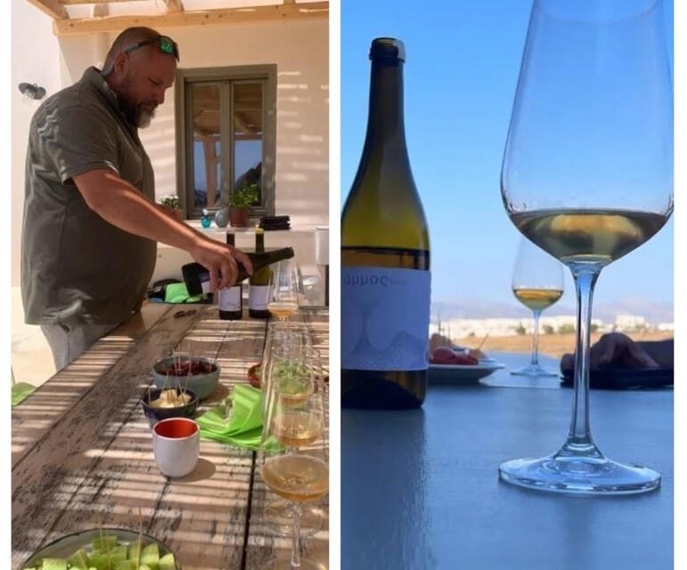 Paros: Wine tasting at Local Winery - Who Should Book This Experience?