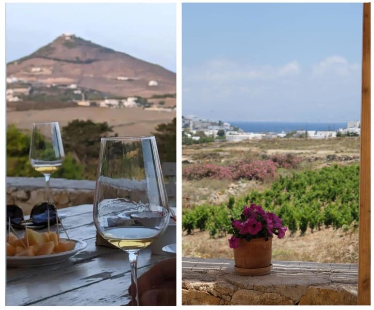 Paros: Wine tasting at Local Winery - Final Thoughts