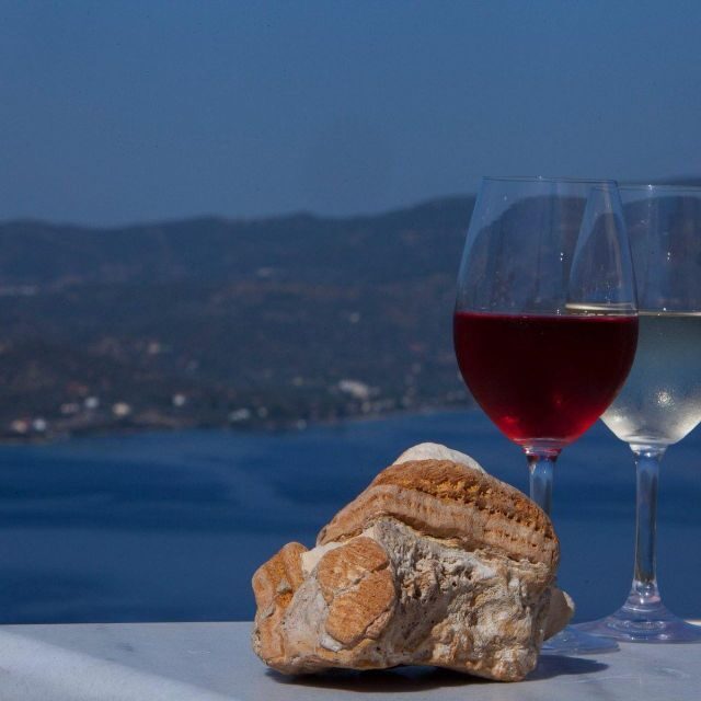 Paros wine tour and tasting - Key Points