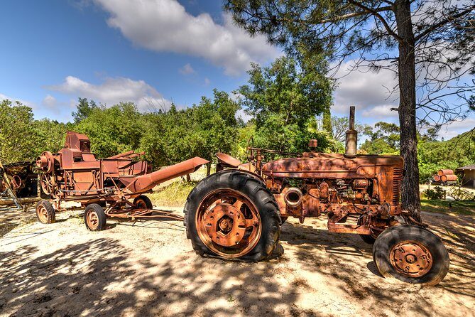 Parque da Mina Entrance Ticket - An In-Depth Look at Parque da Mina