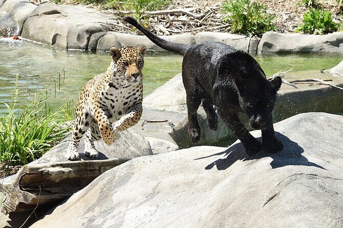 Parrot World Immersive Wildlife Park Entry Ticket next to Paris - The Sum Up