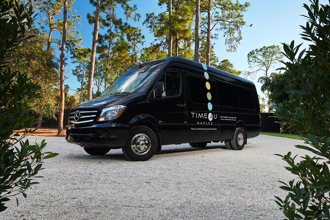 Party Bus Excursion Disco Ball, Limo Seating, Bar, & LED Lights - Final Thoughts