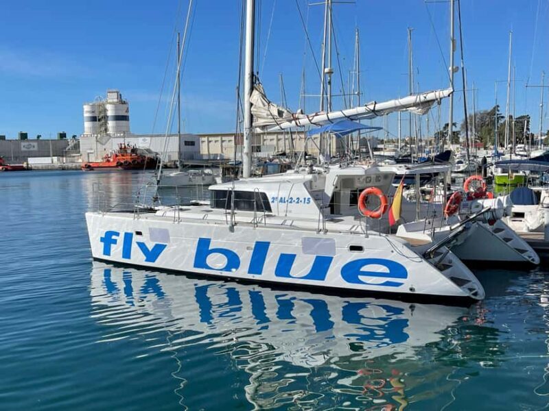 Paseo en Catamarán con Baño o Puesta de Sol - Who Should Book This Tour?