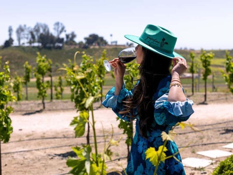 Paso Robles: 3 Wineries Tour with Picnic Lunch and Tasting - FAQs