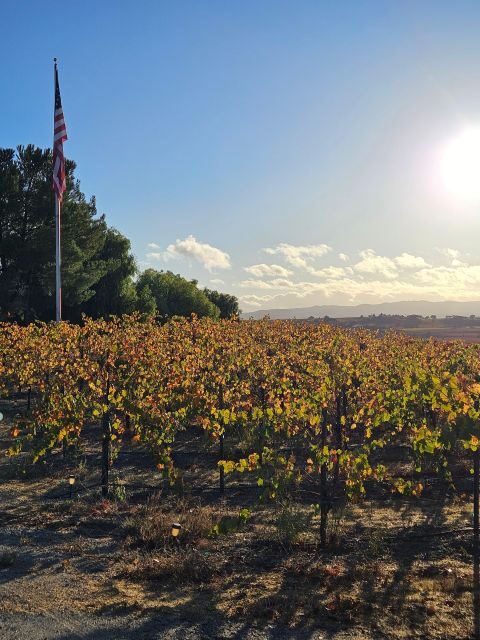 Paso Robles & Atascadero: 3-Winery Tour Including Lunch - Authentic Insights from Reviews