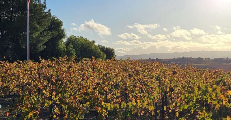 Paso Robles & Atascadero: 3-Winery Tour Including Lunch - FAQ