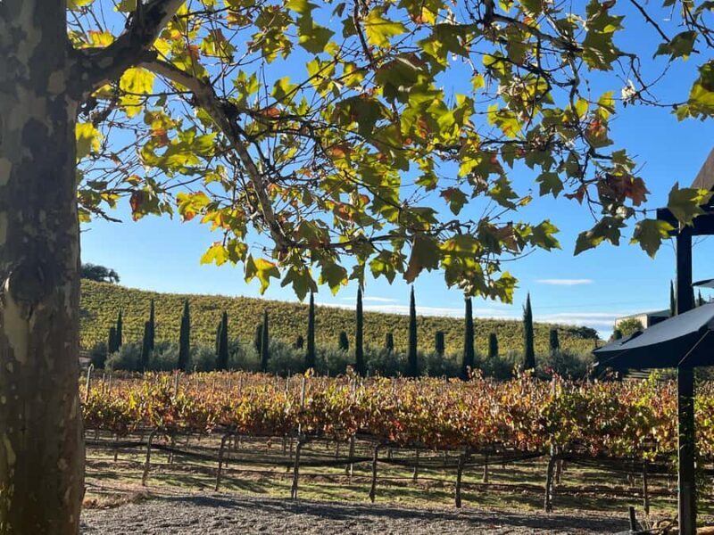 Paso Robles: Private Wine Tour, guided by a Winemaker - Key Points