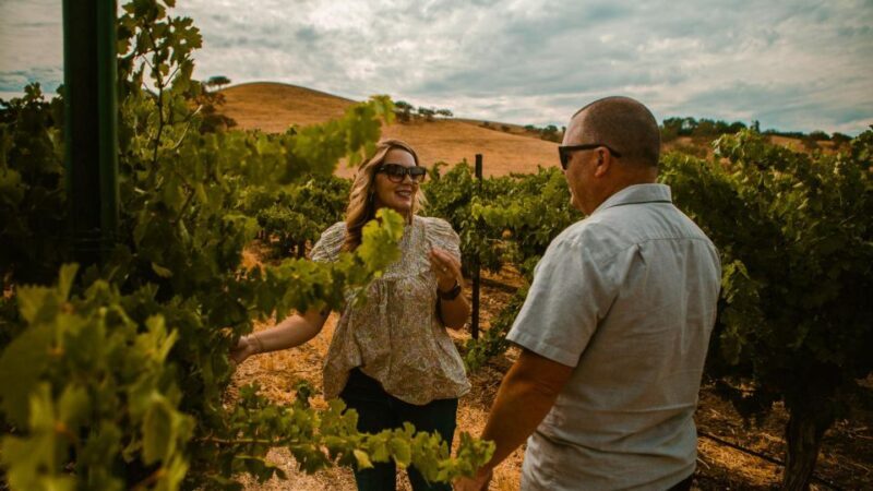 Paso Robles: Scenic Sidecar Vineyard Tour - The Sum Up