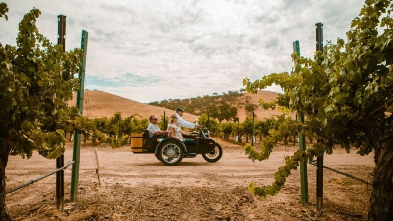 Paso Robles: The Luxe Wine Trail Excursion - Value and Pricing