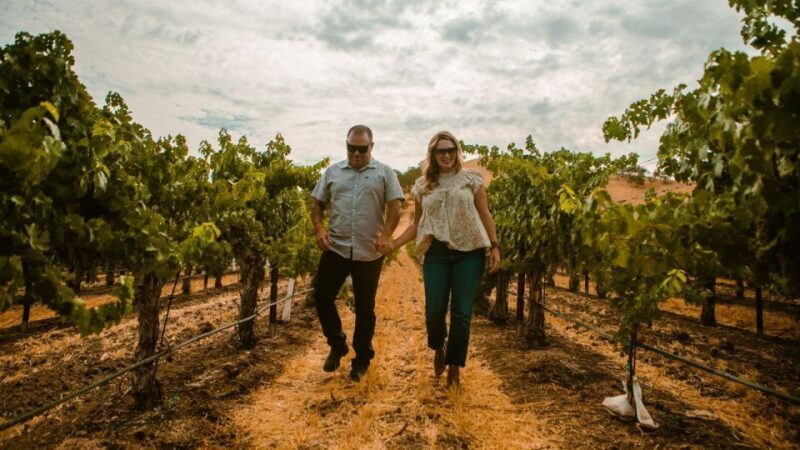 Paso Robles: The Luxe Wine Trail Excursion - Practical Considerations