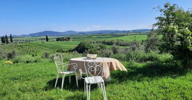 Passeggiando nell'uliveto: come nasce l'olio extrav d'oliva? - An In-Depth Look at the Olive Oil Tour in Tuscany