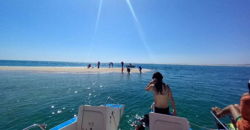 Passeio de barco na Ria Formosa 3H - Who Should Consider This Tour?