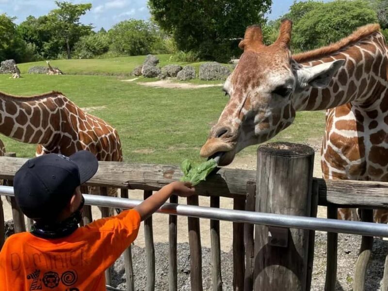 Passin Miami: 30+ Attractions, eSIM & 1-Way Airport Transfer - Key Points