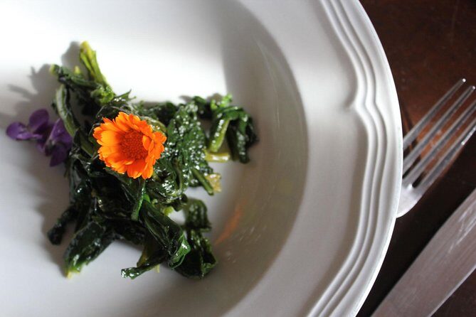 Pasta Class in Bologna in a 15th-Century Estate Home with Chiara - Who Is This Tour Best For?