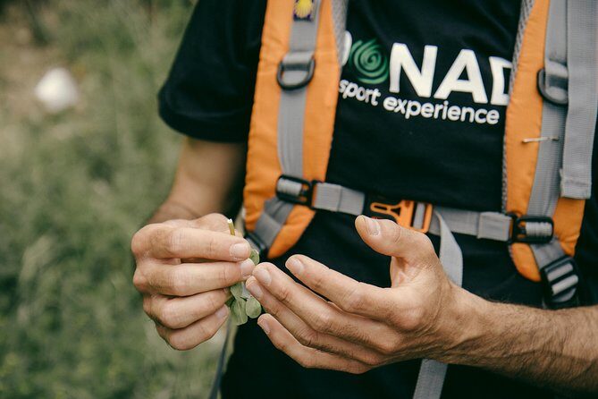 Path of the Gods Private Guided Hiking Experience - Frequently Asked Questions (FAQs)