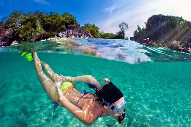 Pattaya PADI Beginner Scuba Diving One Try Dive Depth 6 Meters and Snorkeling ) - What to Expect from Your Pattaya Scuba and Snorkeling Day