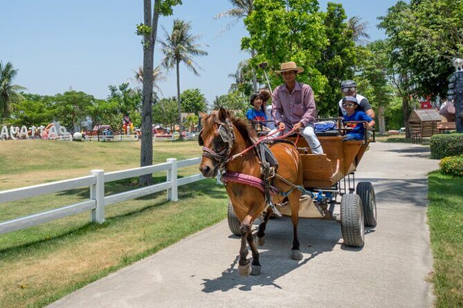 Pattaya sheep Farm Entrance Tickets - The Experience from Reviews