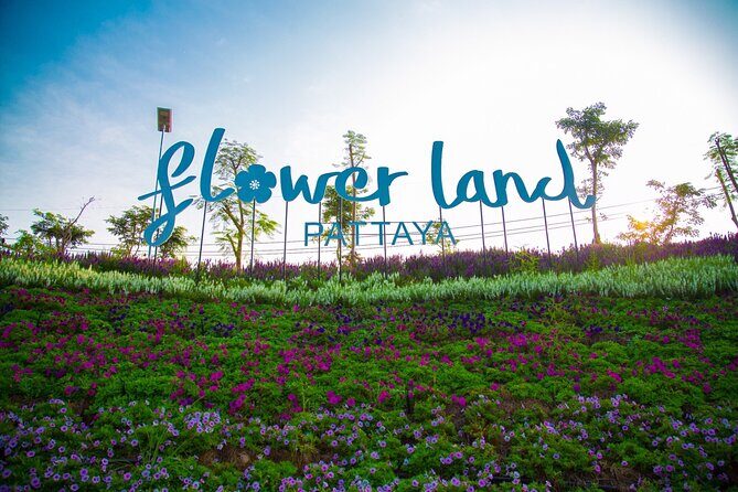 Pattaya Sunset Tour : Stunning Views, Local Culture & Nightlife - Exploring the Itinerary in Detail