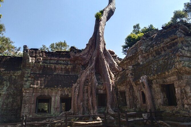 Pattaya to Angkor Wat 2 days 1 night Private tour - Who Is This Tour Best For?