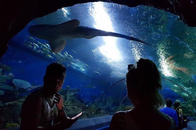 Pattaya Underwater World - Discover Ocean Treasures - A Closer Look at Pattaya Underwater World