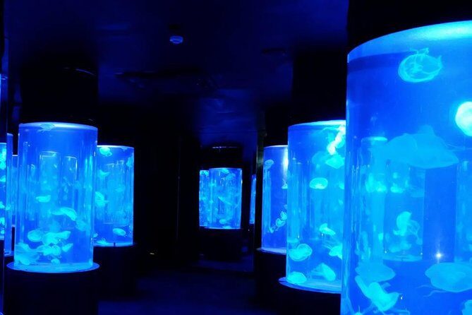 Pattaya Underwater World - Discover Ocean Treasures - Who Should Visit?